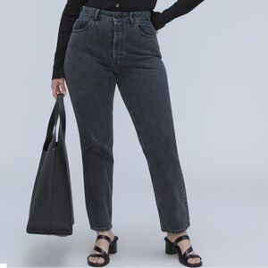 Everlane The Curvy ‘90s Cheeky Straight Jean - Size 33 Ankle
